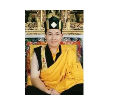 十七世大宝法王为什么有两个？