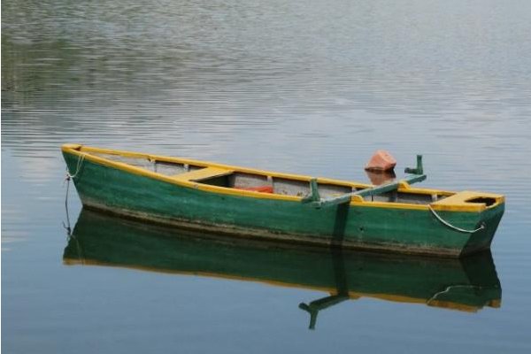 网络流行语淦是什么意思