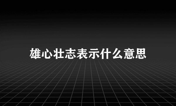 雄心壮志表示什么意思