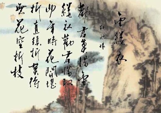 莫待无花空折枝什么意思