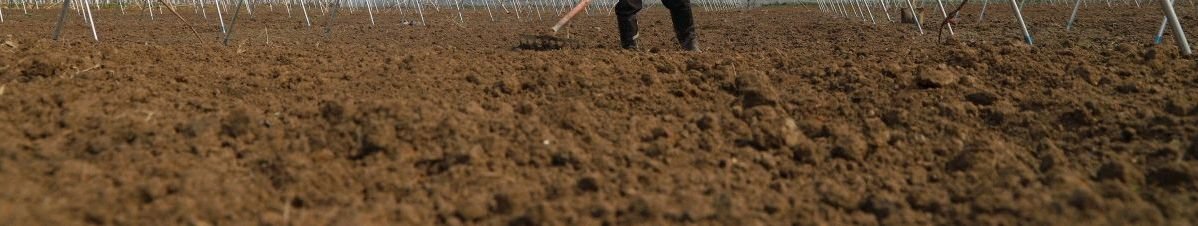 土壤容重名词解释
