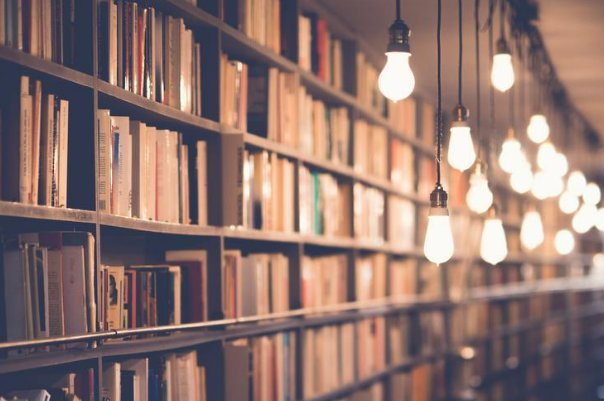 有哪些多肉古言值得强烈推荐的？