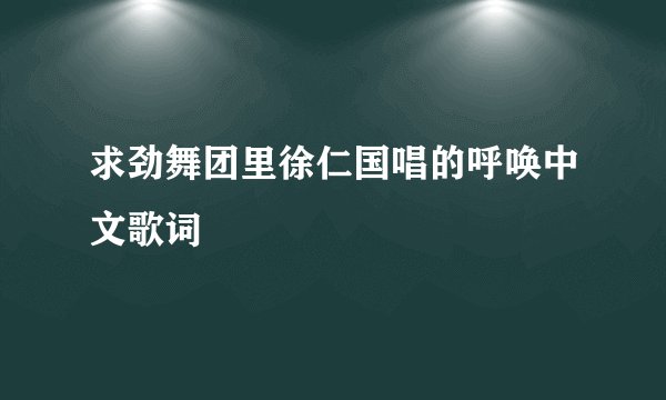 求劲舞团里徐仁国唱的呼唤中文歌词