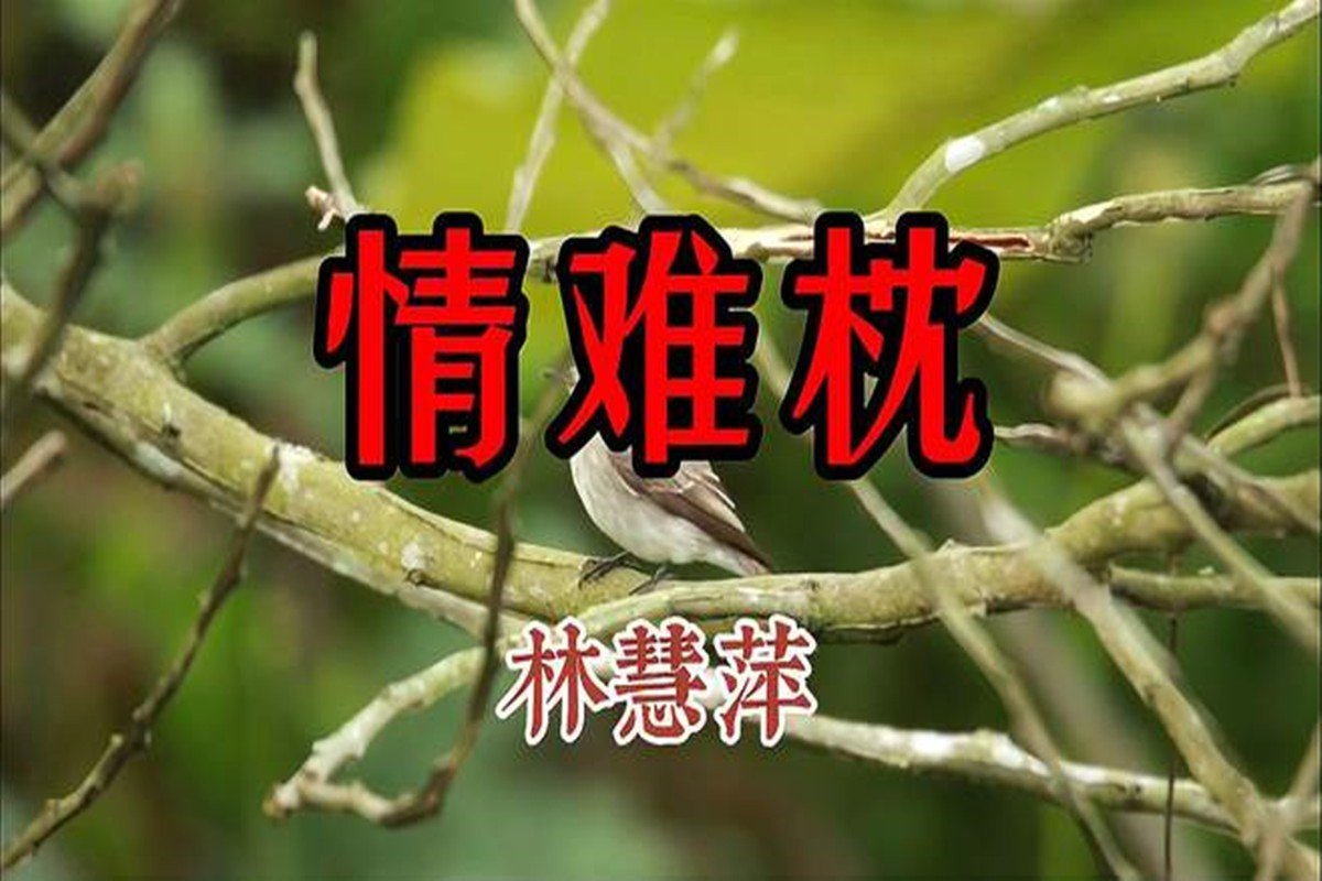 早知道爱会这样伤人情会如此难枕是什么歌