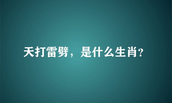 天打雷劈，是什么生肖？