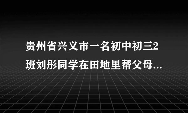 贵州省兴义市一名初中初三2班刘彤同学在田地里帮父母干活被大蛇吃了...