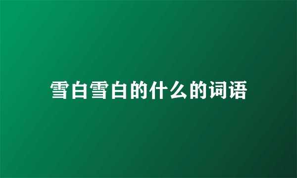 雪白雪白的什么的词语