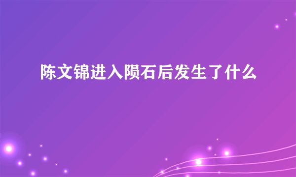 陈文锦进入陨石后发生了什么