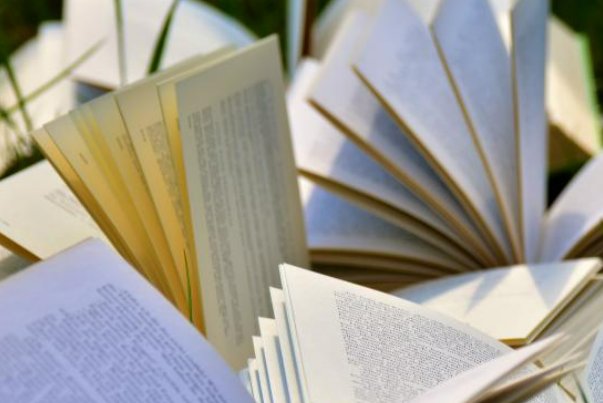 有哪些多肉古言值得强烈推荐的？