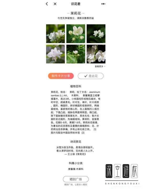 识花君小程序入口在哪里？微信小程序识花君怎么用？