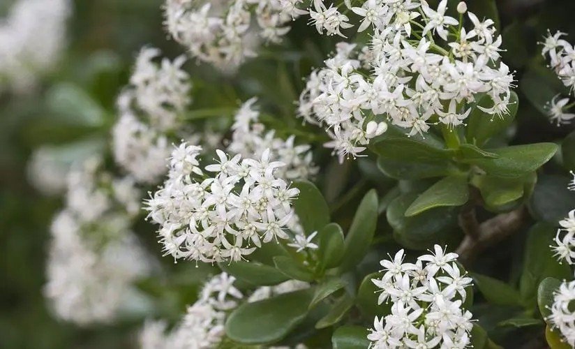 亚洲一本二本三本的区别