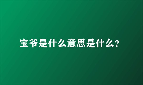宝爷是什么意思是什么？