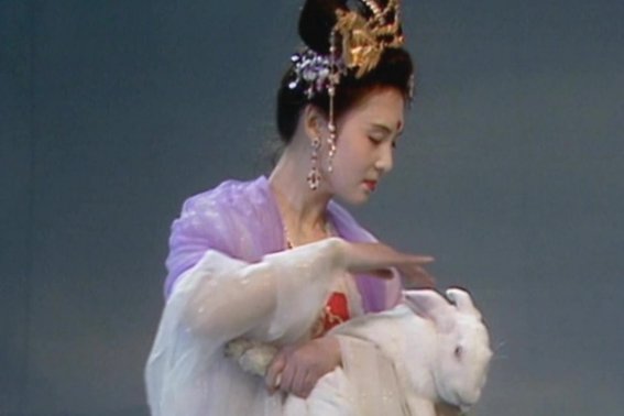 广寒仙子什么意思