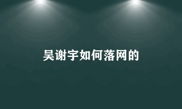吴谢宇如何落网的