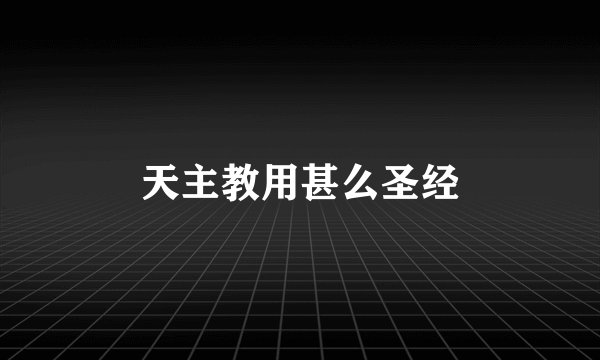 天主教用甚么圣经