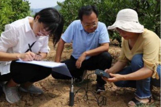 调查研究总体方案包括哪些内容?