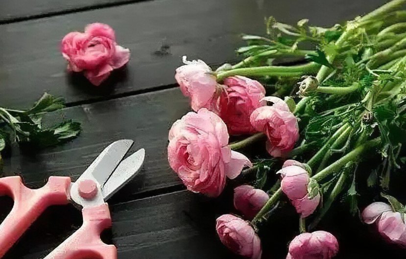 今日无事勾栏听曲下一句