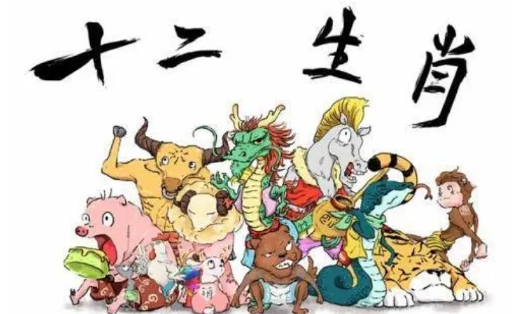 月晕主风什么动物