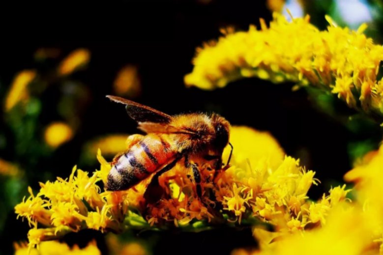 不论平地与山尖的下一句是什么？