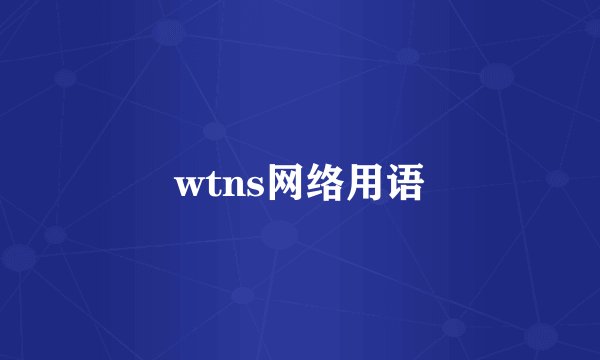wtns网络用语
