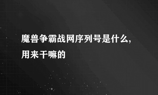 魔兽争霸战网序列号是什么,用来干嘛的
