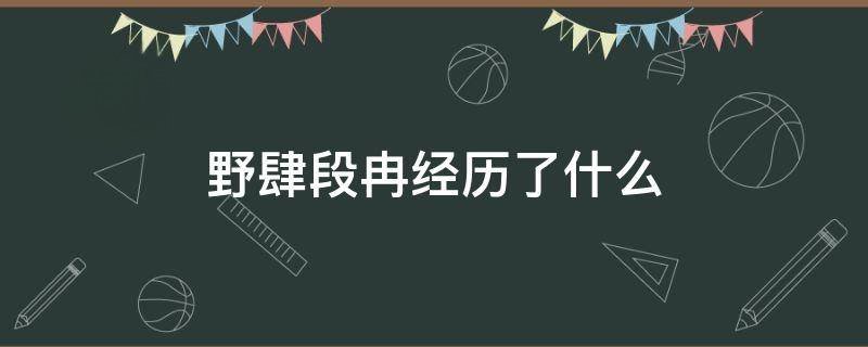 野肆段冉经历了什么