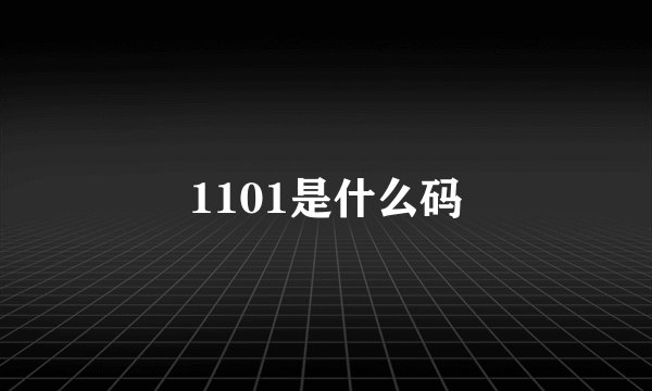 1101是什么码