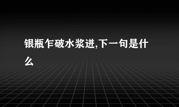 银瓶乍破水浆迸,下一句是什么