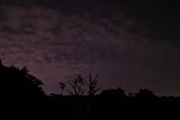 月黑风高的意思