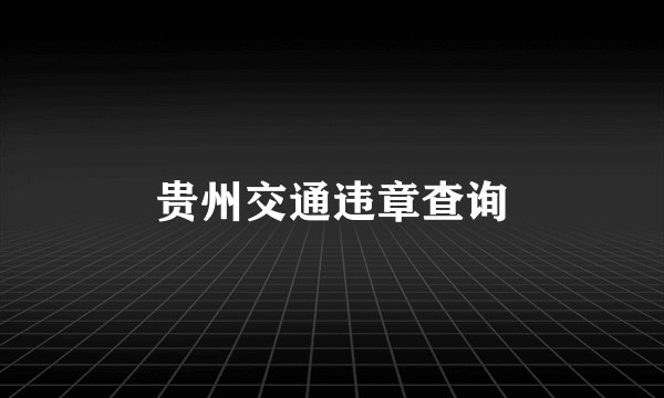 贵州交通违章查询