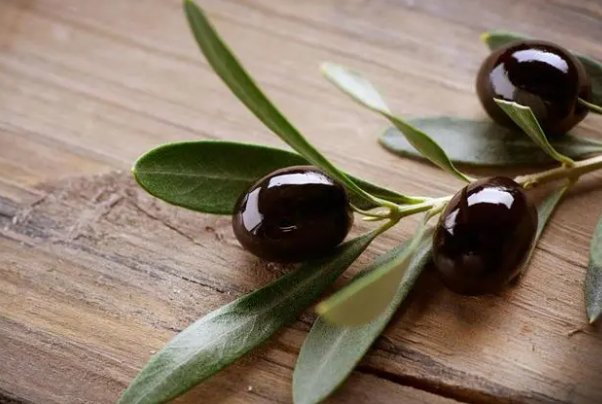 olivia英文名寓意