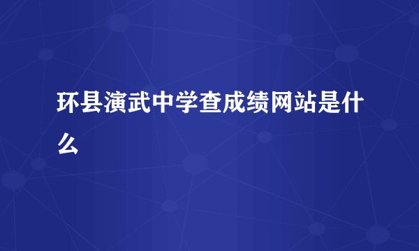 环县演武中学查成绩网站是什么
