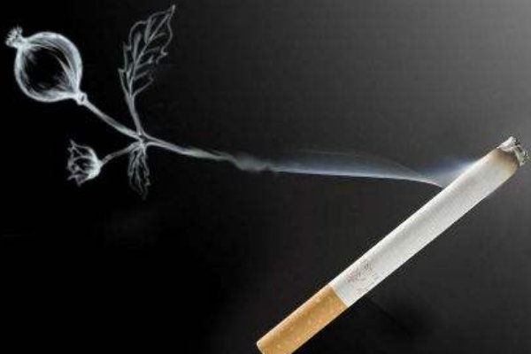 尼古丁是什么意思？