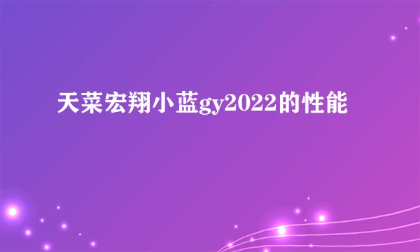 天菜宏翔小蓝gy2022的性能