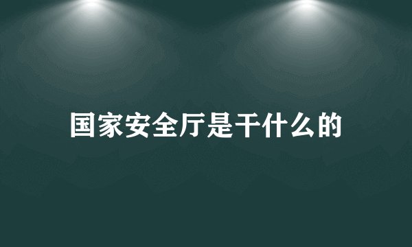 国家安全厅是干什么的