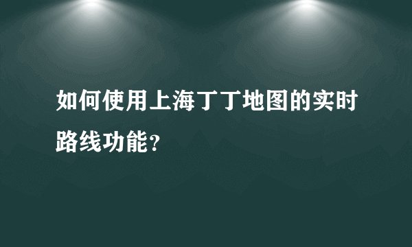 如何使用上海丁丁地图的实时路线功能？