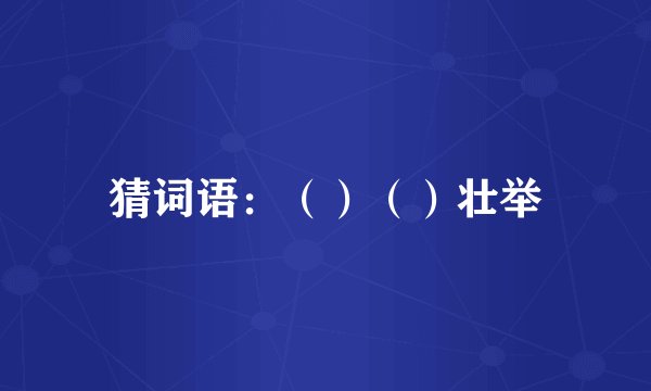 猜词语：（）（）壮举