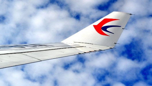 国内航空公司标志是什么?