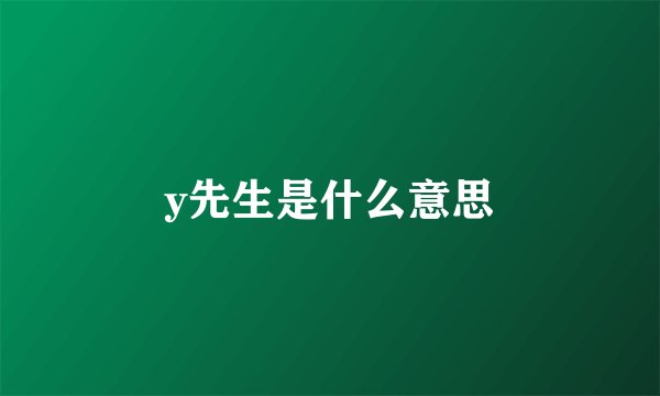 y先生是什么意思
