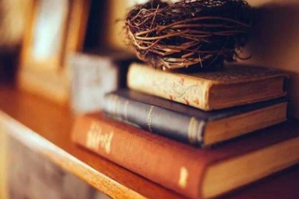 死心塌地是什么意思解释