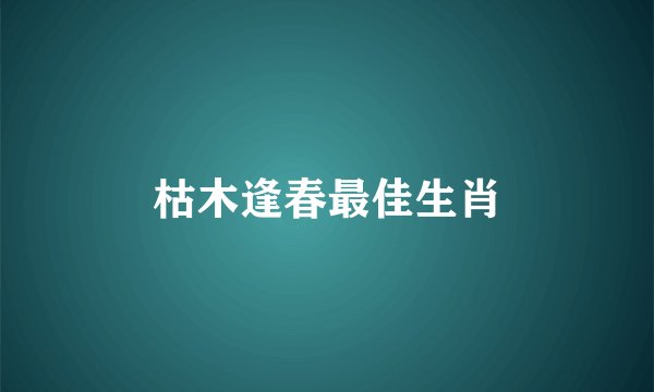 枯木逢春最佳生肖