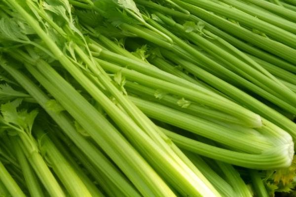 胡锡进谈媒体为5斤芹菜罚6.6万辩护，罚款最后有退回给那对夫妇吗？