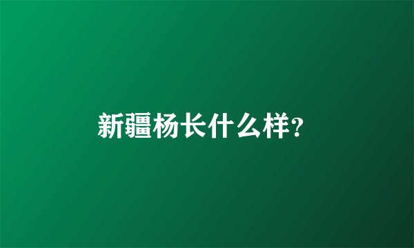 新疆杨长什么样？