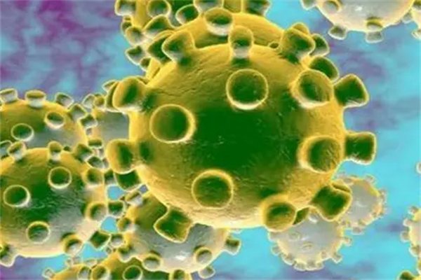 日本发现新病毒至少7人感染,这一病毒的特点是什么?