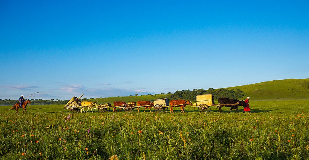 中国最大的草原是哪里