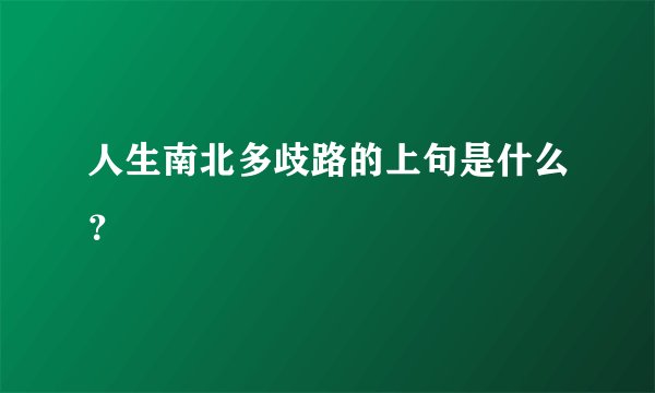 人生南北多歧路的上句是什么？