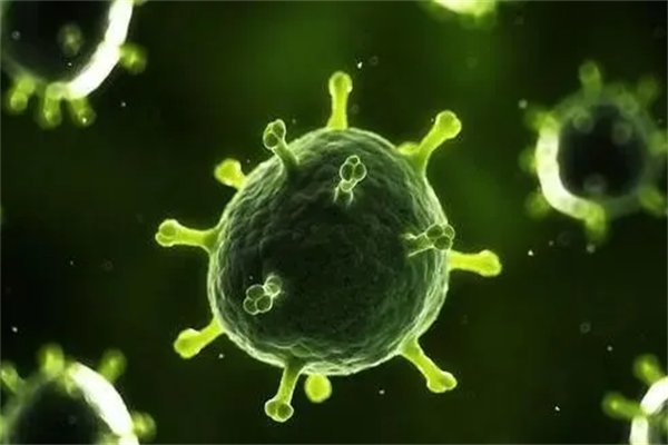 日本发现新病毒至少7人感染，这一病毒的特点是什么？