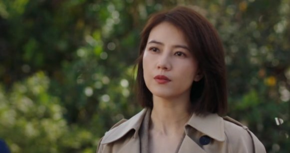 完美伴侣结局是什么？