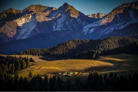 江山如画代表什么生肖