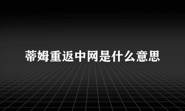 蒂姆重返中网是什么意思